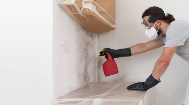 Professional Basement Mold Remediation technician working in Villanova, PA