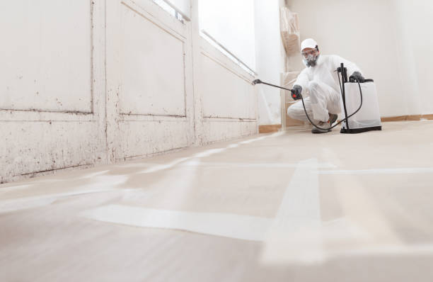 24/7 Emergency Basement Mold Remediation experts in Villanova, PA
