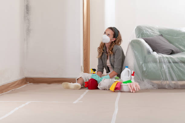 Reliable Basement Mold Remediation contractor in Villanova, PA by WQB Mold Removal