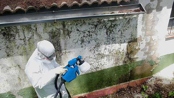 Top rated local Basement Mold Remediation specialists in Villanova, PA